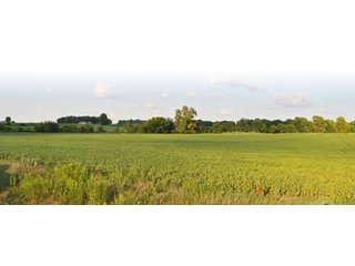 Property photo 7 - 204.5 +/- Acres Offered in 3 Tracts - Farmland Auction